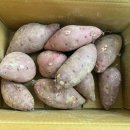 이진호 농장 | 같이 농부 되실분! 올팜 친구해요 친구코드 친구초대