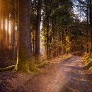 [학습반디_고강1동]아침명상 | 경기 북부 힐링 숲길