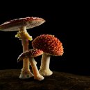 중앙대학교 첨단영상대학원 이미지