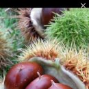 풍요의 아침 이미지