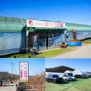 두평농장 | 대구 근교 경북 고령 딸기체험 아이와 가볼만한곳 여왕딸기 농장체험