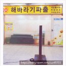 해바라기파출 이미지