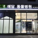 유성동물병원 네이버블로그
