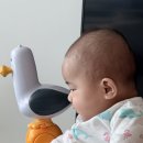 황지현재활의학과의원 | 5개월 아기 사두증 단두증 두상교정헬멧 맞춘 후기, 쑥쑥재활의학과의원 진단서 (1부)