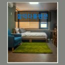다몰이 | 제주 함덕 해변 가성비 숙소 함덕다몰펜션 깔끔한 오션뷰 복층 숙소