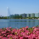 일산호수공원 이미지