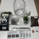 정원집 | 집에서 즐기는 미니 정원🌱 테라리움 취미 도전 후기