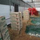 재식농장 이미지