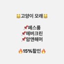 365펫궐리사점