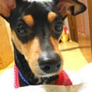 석관동8 이미지