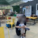 청하체리힐 | [포항] 2년만에 다시 찾은 청하 체리힐, 체리따기체험 후기글