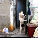 얌 - 양평군 시민로 6 | 얌