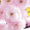 예담산부인과의원 이미지