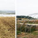 김인기농장 이미지