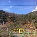일성농장 이미지