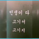 성남대로 1140번길 이미지