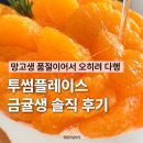 대영과일 | 투썸 과일생 비교 망고생 품절이라 고른 금귤생 솔직 후기