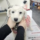 진북동물병원 이미지