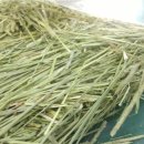 원칸통상 이미지