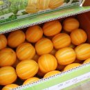 권오선농장 이미지