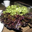 이땅에 한우 이미지