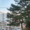 불곡사 앞 이미지