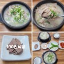 내당역 | 대구 서구 내당역 맛집 100번식당 방문후기