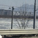 가산사우물 | 합정 조개우물보쌈다녀온 썰