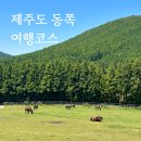 김녕더끌림 | 제주도 2박3일 동쪽 여행코스(갱이네보말칼국수,5L2F,빵귿,성산해나,스콘가게끌림,팔팔자연산회센타)