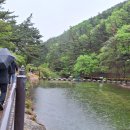 유성기원 이미지