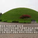 신라 제 22대왕 지증마립간 (智證麻立干) 이미지