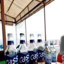 제주목화 이미지