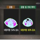 자연식단
