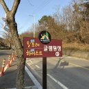 대구 근교 애견 동반 여행 [하이스트 글램핑장]