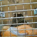 포천대신동물병원 이미지