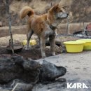 태운축산 이미지