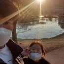 창녕동애등에 이미지