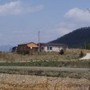 둥지민박민박 이미지