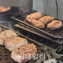 고기 이미지