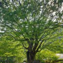 용담댐소수력발전소 이미지