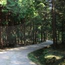 편백세상 이미지