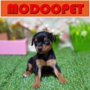 모두와샵 이미지