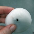 더(The)하얀 이미지