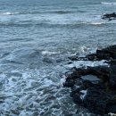 위드세화민박 이미지