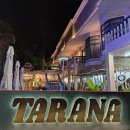 도도푸드 | 보홀여행 4일차 일정 | 환전소, 오아시스펍, 헤난리조트데이유즈, 타라나, 도도스파 후기