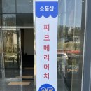샵피크