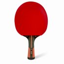 탁구(중급) | 던롭 에볼루션3000 탁구라켓, 3만 원대에서 이 스펙이 나온다고요?