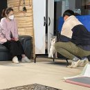 준독트레이닝센터 이미지