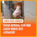 사천승마장 이미지