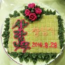 사람나무